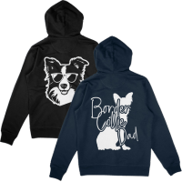 Border Collie - Zipper